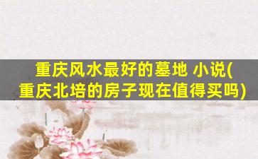 重庆风水最好的墓地 小说(重庆北培的房子现在值得买吗)